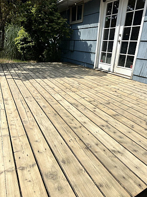 Sanding and Painting-30