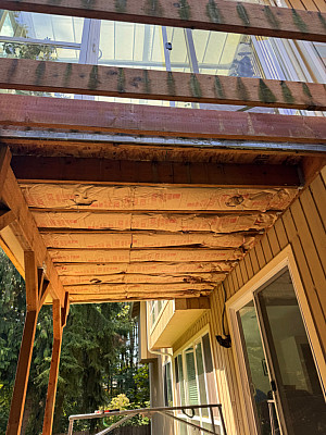 Pine_Crest_Retreat_Sia_Builds (15)