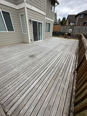 Deck Staining and Painting Service-29